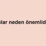 Arılar neden önemlidir?