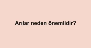 arilar-neden-onemlidir