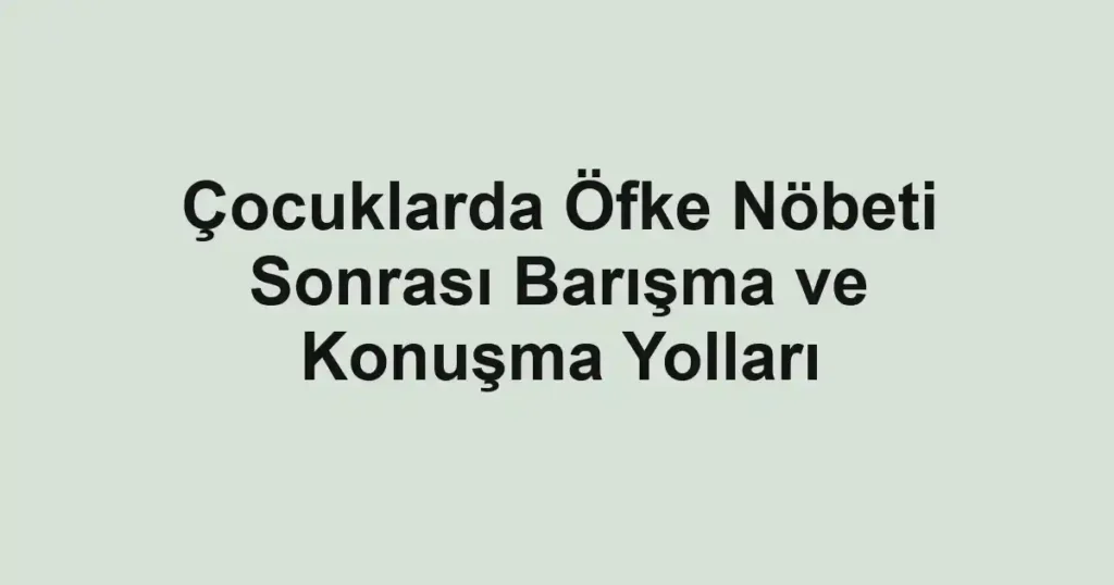 cocuklarda-ofke-nobeti-sonrasi-barisma-ve-konusma-yollari