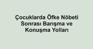 cocuklarda-ofke-nobeti-sonrasi-barisma-ve-konusma-yollari